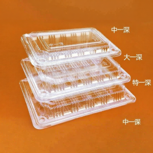 ZHENTAIYUAN | Self-locking Transparent Disposable Food Container 100 Sets