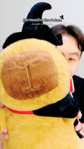 หมอนผ้าห่ม คาปิบาร่า Capybara ตุ๊กตาคาปิบาร่า 30ซม. สะพายกระเป๋าน้องเต่ามินิ มีหลายลาย ตุ๊กตาผ้ากํามะหยี่ขนนิ่ม น่ารัก ตุ๊กตาคาปิบาราคุงแบกเต่า