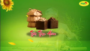 PQA Kiện Tỳ Tiêu Thực Giúp Giảm Các Triệu Chứng Ra Mồ Hôi Trộm Hỗ Trợ Cho Trẻ Hay Ăn Chóng Lớn