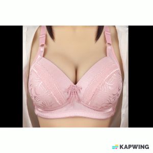 Bra BH Cup C Fashion Push Up Wanita Premium Busa Tipis Tanpa Kawat 129