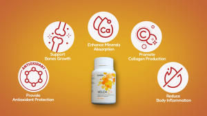 Elken Official Store - Elken Velox C+ (120 Tablets) | Gentle on Stomach - Liposomal Vitamin C & D3 24-Hour Immune Retention High-Absorption Wellness Booster
