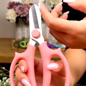 Combo 1 Kìm Tuốt Gai Hoa Hồng + 1 Kéo Cắt Cành Loại Tốt (Có hộp Giao màu ngẫu nhiên)