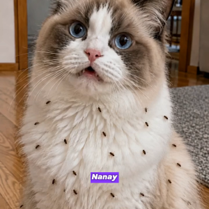 Puainta Buy 2 Free Pet Deworming Tablets for Cats Tick and Flea for Cats Anti Tick Garapata Flea Pulgas & Lice Kuto Garapata Remover