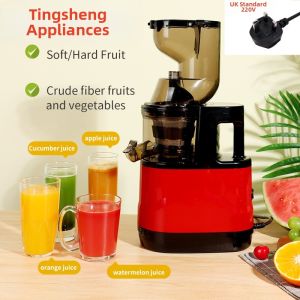 MLZH | Multi-functional Commercial Automatic Vegetable and Fruit Juicer