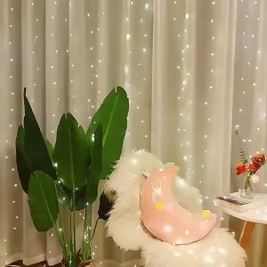 6M/3M Wedding LED Garland Fairy Light Garden Light String 8 Mode USB Curtain Light Party Valentines Day Holiday Home Decoration