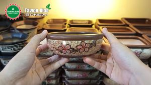 Pot Bonsai Keramik Bulat Bundar Kecil Small Mini Mame not Semen