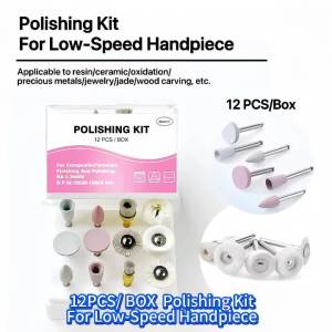 12 PCS/BOX Upgraded Silicone and Brush Grinding Head Mixed Polishing Set - Achieve High-Gloss Polishingng with Polishing Paste