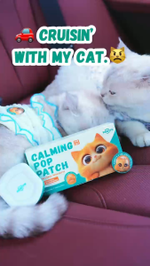Pawith 1 pack Calming Pop Patches for Cat Pheromone Diffuser Stress Relief Soothing Emotion Cat Sedative Pet Calming