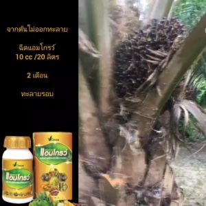 ชนิดน้ำเพื่อการสูที 18 ชนิด สุดยอดอาหารพืช สารอาหารครบ 250 cc ผสมน้ำได้ 1000 ลิตร, สำหรับพิชทูกชนิด (ชูด 1 ขวด) หรือทุกชนิด