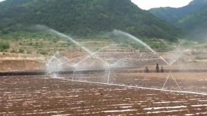 หัวสปริงเกอร์ แบบตีน้ำ ฉีดน้ำระยะไกล เกลียวใน 1 นิ้ว 360 องศาหมุนรอบตัว หัวสปริงเกอร์ แบบตีน้ำ ฉีดน้ำระยะไกล CS100 เกลียวใน 1 นิ้ว 360°ปรับมุมซ้ายขวา 360°หมุนรอบได้ หญิงด้ายแขนโยกหัวฉีดแบบหมุน Rocker Rotating Rocker หัวฉีดสปริงเกอร์สนามหญ้า - Lazada