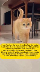 【Buy 2 get 1 free】PetClear🐱 Probiotic mouthwash for pets Edible oral tooth cleaning water Antibacterial rate 99% Remove odor Fresh breath
