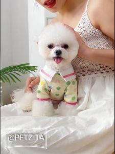 พร้อมส่งจ้า เสื้อสีเหลืองอ่อนแต่งคอปกขาว ลายจุดกลมหลากสี งานแบรนด์ for pet สุนัข หมา แมว