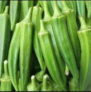 OKRA HIJAU SEGAR /SAYUR OKRA HIJAU/PARIAN 1KG 500gm250gm