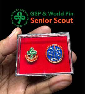 2 Pins+Case | GSP Pin + World Pin | Twinkler Star Junior Senior Scout Pins