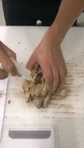 Aquascape Adhesive Glue Aquarium Aquatic Hardscape Glue Plants Grass Coral Moss Instant Glue