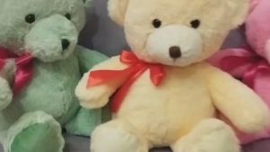 Boneka Bear Beruang Pita Samping Teddy bear Lucu