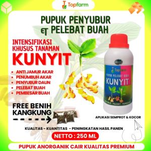 Pupuk Tanaman Kunyit / Pupuk Kunyit / Pupuk Penyubur Kunyit / Pupuk Buat Tanaman Kunyit / Pupuk Booster Buah Kunyit / Pupuk Pelebat Buah Kunyit