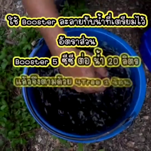🎉คุ้มทะลุเพดาน!! 2 แถม 1 ซองโฟร์ทรี 4tree สูตรเข้มข้นช่วยบูสต์ทุกพืช ใช้ได้สูงสุด 60 ไร่ รับประกันของแท้ชัวร์