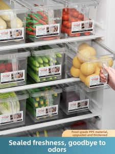 Food Grade Refrigerator Storage Box for Vegetable Fruit Egg Frozen Keeping