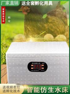 Incubator Small For Home Water Bed Incubator Automatic Intelligent Duck Goose Pigeon Rutin Chicken Egg Incubator Household Type