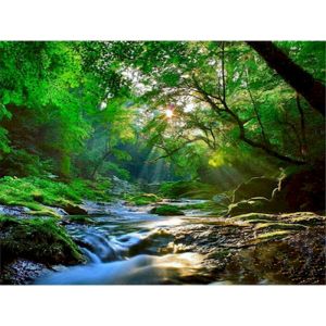 Gatyztory ภาพวาดขนาด40X50ซม. โดยตัวเลขอุปกรณ์วาดภาพศิลปะป่าไม้และน้ำตกของขวัญงานศิลปะงานฝีมือเครื่องตกแต่งฝาผนังงานฝีมือสำหรับผู้ใหญ่