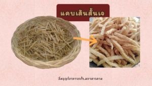 แคปเส้นเจหรือกากหมูเจ แคปเจแบบเส้น (สั้น) 📣ไม่ต้องจ่ายแพงอีกต่อไป 🤩เพราะเรามีให้เลือกหลายขนาดตามความต้องการของคุณ 💥 แคปเจสวยๆ แคปคุณภาพดี  แคปเจby:อิ่มบุญ