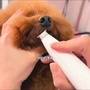 [✅SG Ready Stock] Dog and Cat Foot Trimmer with LED Light Fully Waterproof Pet Hair Trimmer with LED Display Pet Clipper