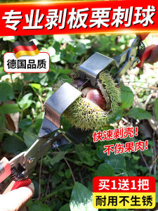 Gạt Hạt Dẻ Bằng Thép Không Gỉ Dùng Để Mở Vỏ Hạt Dẻ Dụng Cụ Gạt Vỏ Hạt Dẻ Dụng Cụ Nấu Ăn Gia Đình Dụng Cụ Nhà Bếp