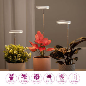 Full Spectrum LED Plant Growth Light Angel Ring Succulent Supplement Light Home Gardening Smart Switch Control Steel Body