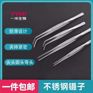 Stainless Steel 304/430 Thickened Flat Mouth Bent Head round Head Long Sharp Head Forceps High Elasticity Laboratory Use