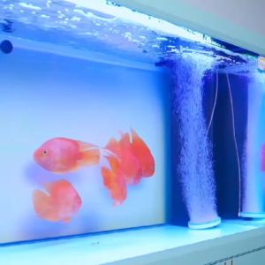 【Good Quality】Water crystal clearalgaecide 550ml algae remover for aquarium