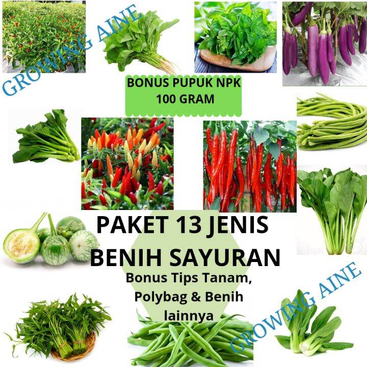 Paket 13 Jenis Benih Sayuran Pemula Bibit Sayuran Cepat Tumbuh | Lazada ...