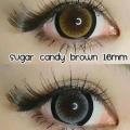คอนแทคเลนส์ รุ่น Sakura สีเทา/ตาล Gray/Brown มีค่าสายตา (0.00)-(-10.00). 