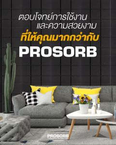 (5 แผ่น/แพ๊ค) ฟองน้ำซับเสียง แผ่นซับเสียง Acoustic Foam ทรงBloc ตารางสี่เหลี่ยม ซับเสียงก้องสะท้อน มีใบรับรอง ฟองน้ำเนื้อเหนียวแน่น Prosorb Acoustic แผ่นซับเสียง ขนาดใหญ่ แผ่นซับเสียงห้อง - Lazada