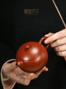 CANGHUTIANXIA | Handmade Small Teapot Set for Gongfu Tea  Da Hong Pao & Xi Shi