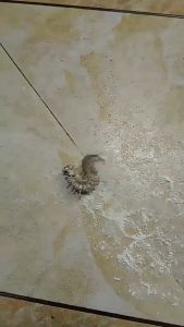 💥ซื้อ1แถม1💥ไล่ตะขาบ ตายยกรัง ฆ่าตะขาบอย่างยั่งยืนและยาวนาน สูตรอ่อนโยน โรยได้โดยตรง เหมาะสำหรับการป้องกันตะขาบในสภาพแวดล้อมต่างๆ ยาไล่ตะขาบ ยากำจัดกิ้งกือ ผงไล่ตะขาบ ยาฆ่าตะขาบ ยากำจัดตะขาบ