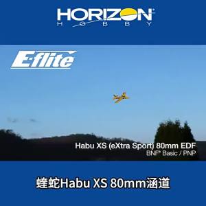 Scale RC Fixed Wing Plane 80mm Ducted Fan Brushless Motor