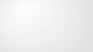 ANTOBLE Hand Mixer Beaters Compatible with Hamilton Beach Hand Mixer Replacement Beaters Attatchment 62682RZ 62692 62695V 64693 64699 for Hamilton Egg Whisk Blades Parts