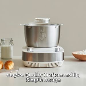 [China Plug Adapter Needed] Automatic Kneading Machine Home Use