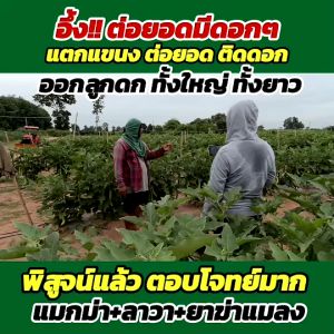 ปุ๋ยน้ำลาวา(แพ็คคู่2ขวด)ขวดละ500ซีซี. เป็นชุดสุดคุ้มและประหยัดสูตรอาหารของพืชครบถ้วนใช้กับพืชได้ทุกชนิด