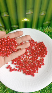 Mutiara sintetis aneka kristal ceko kombinasi pasir Grade A premium per 20 gram