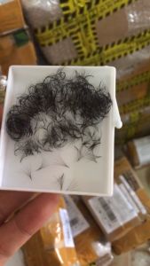 Mi Fan 5D Hộp 500 FanLông Mi Volume 5D Fan Xưỡng ĐẹpMi ĐenMềm Xèo Đều Bắt Keo Cực Tốt_Phụ Liệu Mi Phá