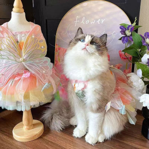 Dog Clothes Summer Pet Rainbow Butterfly Fluffy Princess Dress for Dogs and Cats Pet Costume