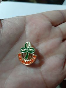 GSP PINS- Twinkler Star JuniorSenior and world pin. Girl Scout of the Philippines accessories.