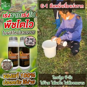 โกรว์รูธ จี-วัน โปรพิเศษ 4 ขวด น้ำยาเร่งรากต้นไม้ แบบผงไม่ต้องผสมเยอะใช้คุ้ม สารสกัดสูตรเข้มข้น   Growroot G1 เร่งใบ กระตุ้นการแตกใบอ่อน แช่เมล็ดเร่งรากได้ดี ผลิใบใหม่กระจาย รากแข็งแรง ของแท้ พร้อมส่งทันที