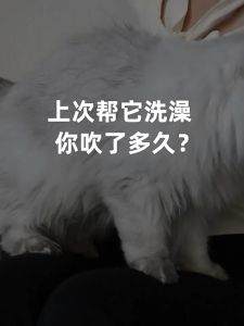 Pet Dryer Room เครื่องเป่าขนสัตว์เลี้ยง รุ่น PLUS สินค้าแท้ มาตรฐาน มอก ออกแบบด้วยวัสดุ ABS ชั้นคู่หนา