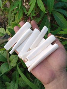 Pipa cangklog tulsap bentuk oval