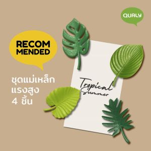Tropical Magnet แม่เหล็กติดตู้เย็น แรงดูดสูง ดีไซน์ ใบไม้ Qualy (ควอลี่)