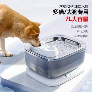Wireless Stainless Steel Pet Water Fountain Automatic Circulation Dog Drinking Water Device Bird Language Flower Fragrance