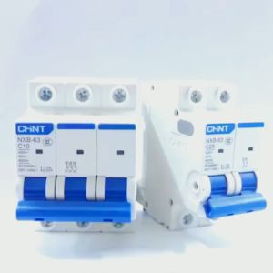 MCB CHINT NXB-63 2P 6kA (4A 6A 10A 16A 20A 25A 32A 40A 50A 63A)